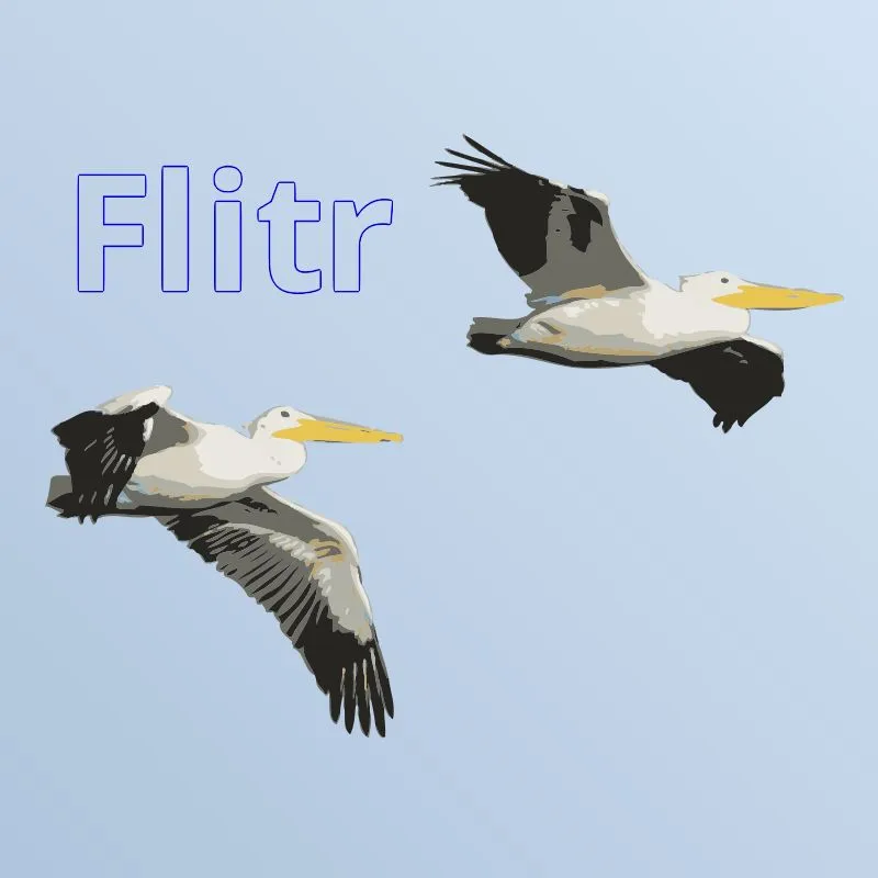 Screenshot of Flitr app