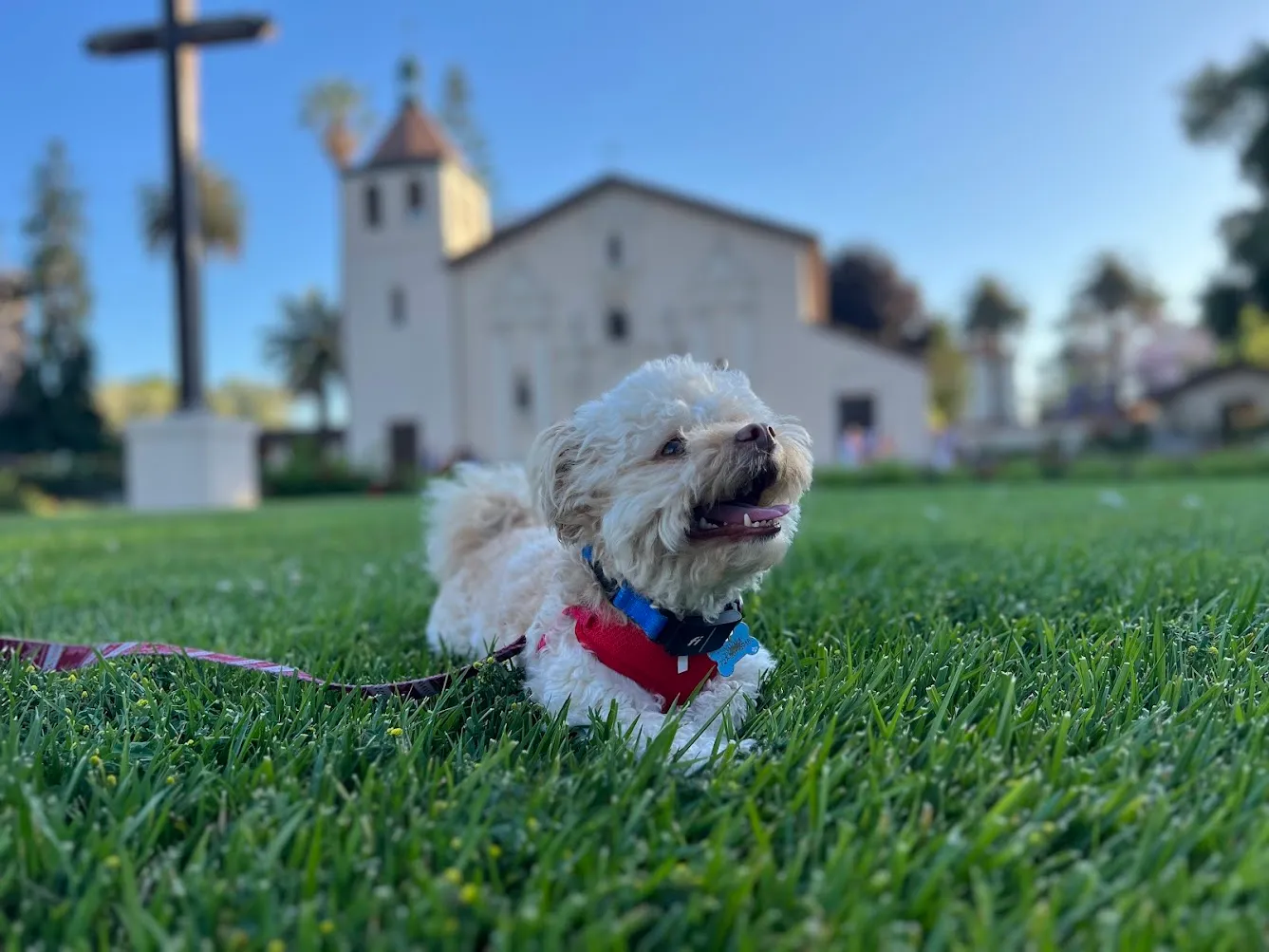 Yuzu in front of Mission Santa Clara